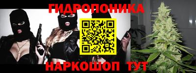 прущие грибы Краснодар