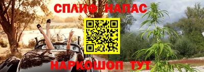 spice Краснознаменск