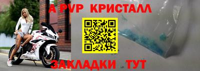 прущие грибы Краснодар