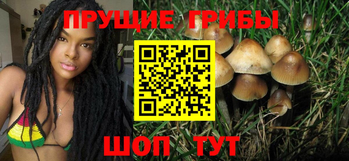Псилоцибиновые грибы Psilocybe  Вход с VPN  Псилоцибиновые грибы Psilocybe  Жуковский 