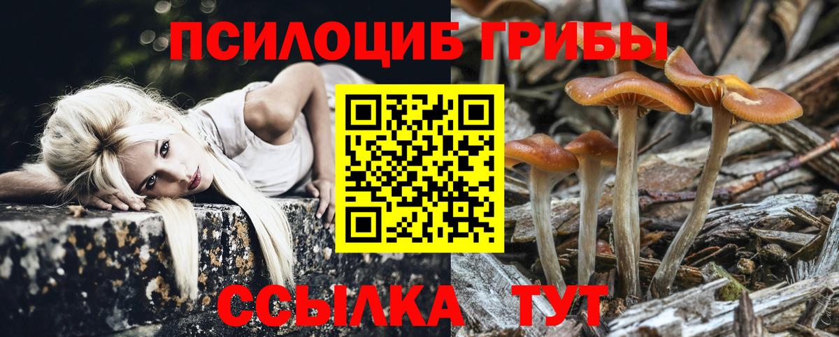 Псилоцибиновые грибы Psilocybine cubensis Жуковский